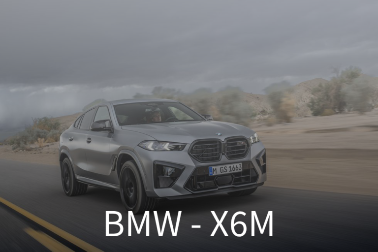 Read more about the article BMW – X6M